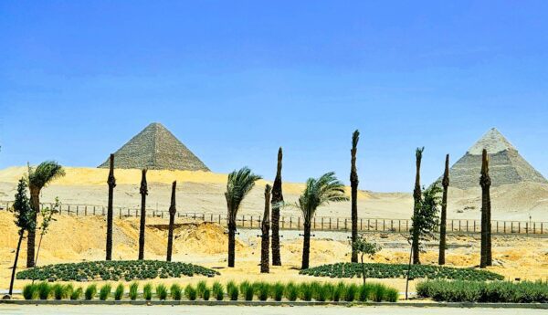 Pyramids in the background with trees in the foreground