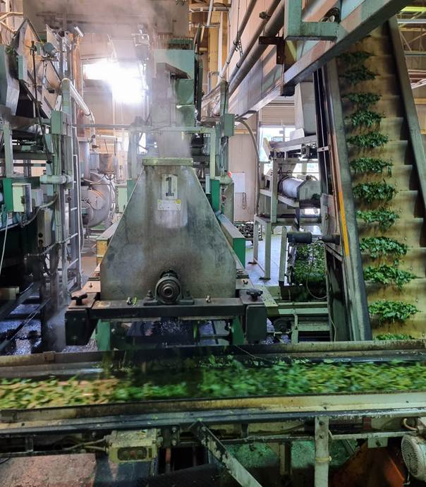 Steaming machine